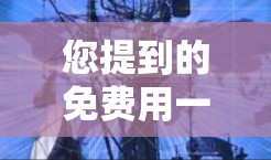 您提到的免费用一整天的加速器可以理解为如果您需要利用某种资源或技术在短时间内获得显著的加速效果，那么可以考虑以下几种方式