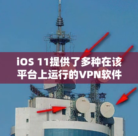 iOS 11提供了多种在该平台上运行的VPN软件，以下是几个主要的选项