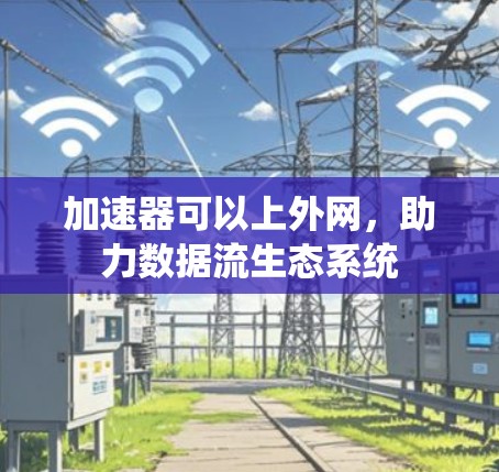 加速器可以上外网，助力数据流生态系统