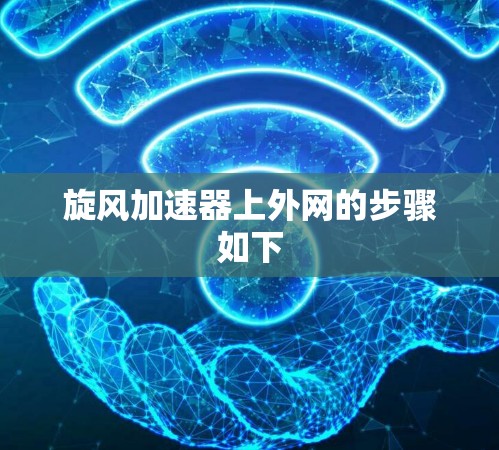 旋风加速器上外网的步骤如下