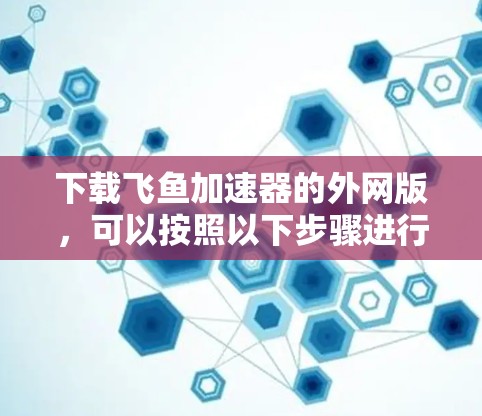 下载飞鱼加速器的外网版，可以按照以下步骤进行