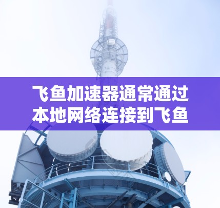 飞鱼加速器通常通过本地网络连接到飞鱼加速器的服务器，然后上传连接信息，用户通过本地服务器获得连接信息后，再连接到互联网。因此，飞鱼加速器本身并不需要连接到外网，而是通过网络连接到本地服务器