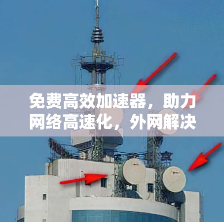 免费高效加速器，助力网络高速化，外网解决方案