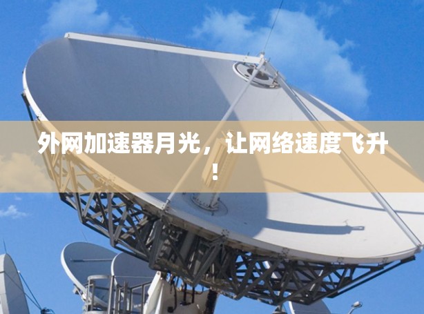 外网加速器月光，让网络速度飞升！