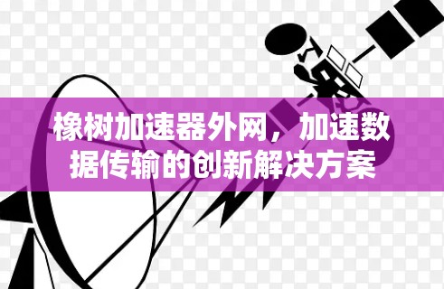 橡树加速器外网，加速数据传输的创新解决方案