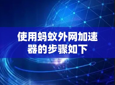 使用蚂蚁外网加速器的步骤如下