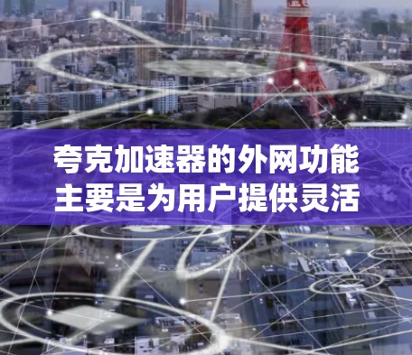 夸克加速器的外网功能主要是为用户提供灵活的网络连接，以支持系统的管理和监控。以下是夸克加速器外网的主要功能