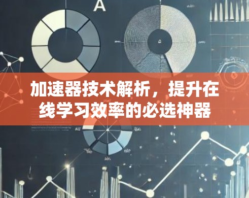 加速器技术解析，提升在线学习效率的必选神器