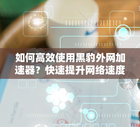 如何高效使用黑豹外网加速器？快速提升网络速度的实用指南