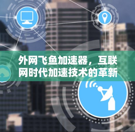 外网飞鱼加速器，互联网时代加速技术的革新