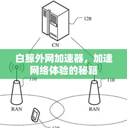 白鲸外网加速器，加速网络体验的秘籍