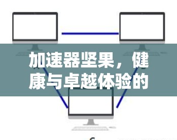 加速器坚果，健康与卓越体验的完美结合