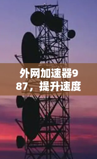 外网加速器987，提升速度，轻松高效