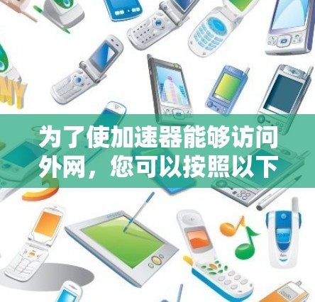 为了使加速器能够访问外网，您可以按照以下步骤操作
