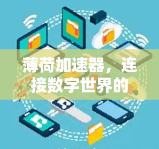 薄荷加速器，连接数字世界的创新解决方案