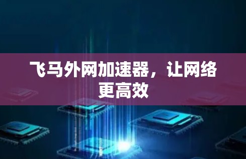 飞马外网加速器，让网络更高效