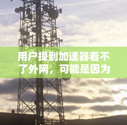用户提到加速器看不了外网，可能是因为加速器无法访问外部网络资源。以下是一些可能的原因和解决方案
