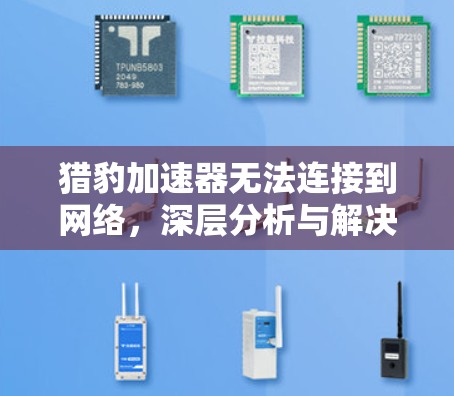 猎豹加速器无法连接到网络，深层分析与解决方案