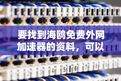 要找到海鸥免费外网加速器的资料，可以按照以下步骤进行
