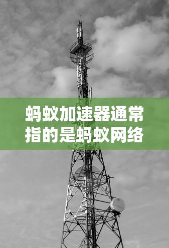 蚂蚁加速器通常指的是蚂蚁网络提供的加速服务，旨在提升网络连接速度。以下是一些可能的方面和信息