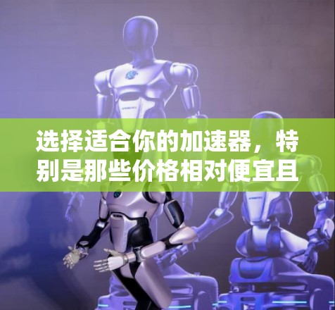 选择适合你的加速器，特别是那些价格相对便宜且功能强大的加速器，可以让你更快地下载和访问大量文件。以下是一些推荐，帮助你找到适合你的加速器