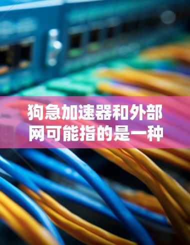狗急加速器和外部网可能指的是一种结合了狗训练和外部网络环境的应用。以下是对这两个术语的详细解释