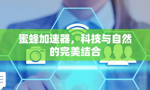 蜜蜂加速器,科技与自然的完美结合 蜜蜂加速器,科技与自然的完美结合