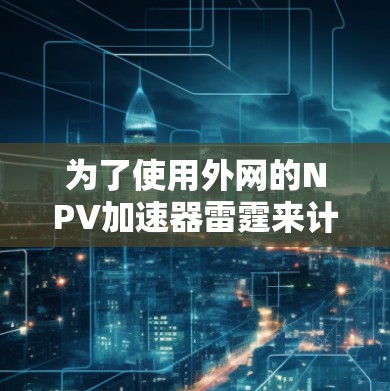 为了使用外网的NPV加速器雷霆来计算NPV，您可以按照以下步骤进行