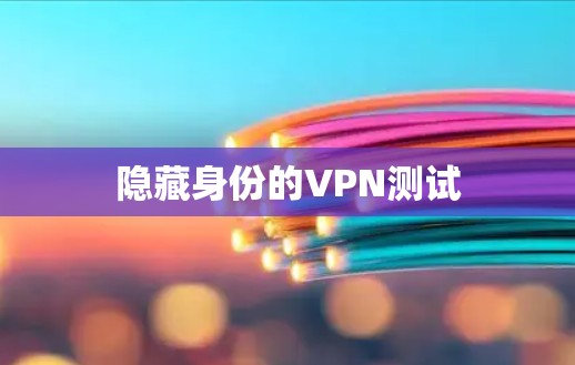 隐藏身份的VPN测试
