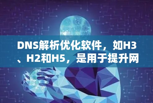 DNS解析优化软件，如H3、H2和H5，是用于提升网络设备对域名解析速度和稳定性的重要工具。以下是对这些软件的详细分析和总结