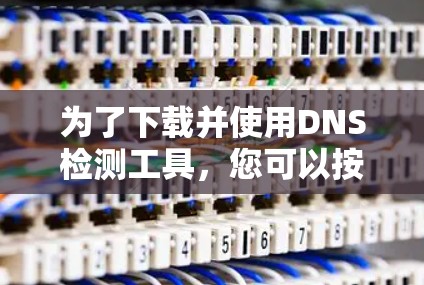 为了下载并使用DNS检测工具，您可以按照以下步骤进行操作