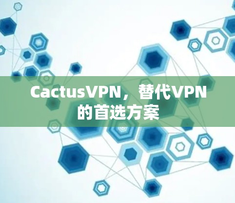 CactusVPN，替代VPN的首选方案