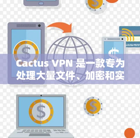 Cactus VPN 是一款专为处理大量文件、加密和实时视频通话设计的软件，它结合了高速网络和强大的安全性。以下是对其速度体验的详细介绍