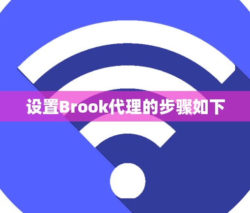设置Brook代理的步骤如下