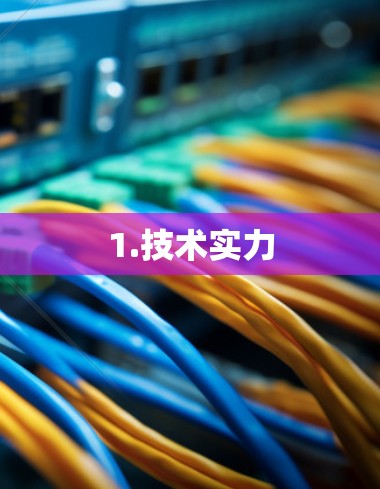 1.技术实力