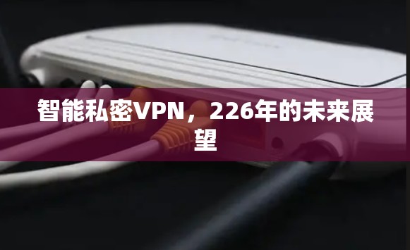 智能私密VPN，226年的未来展望