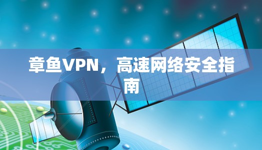 章鱼VPN，高速网络安全指南
