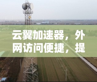 云翼加速器，外网访问便捷，提升效率的智能网络加速工具