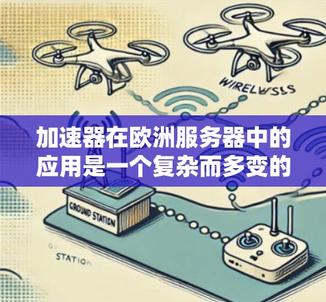 加速器在欧洲服务器中的应用是一个复杂而多变的领域，具体实施需要综合考虑多个因素。以下是一些关键步骤和建议