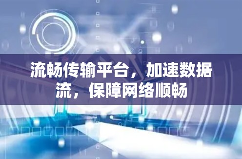 流畅传输平台，加速数据流，保障网络顺畅