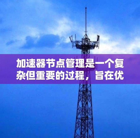加速器节点管理是一个复杂但重要的过程，旨在优化程序性能。以下是逐步指南