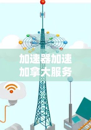 加速器加速加拿大服务器节点，从配置到优化的全面解决方案