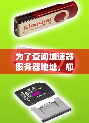 为了查询加速器服务器地址，您可以按照以下步骤操作