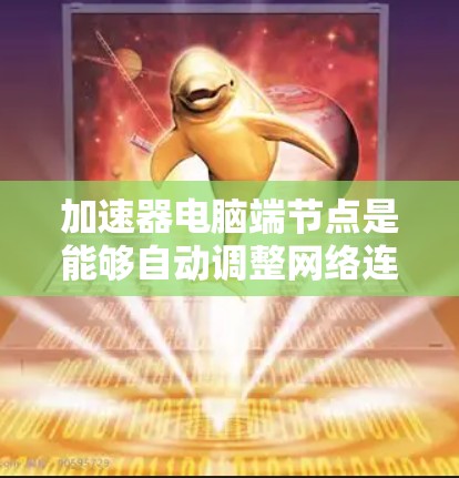 加速器电脑端节点是能够自动调整网络连接和配置的设备，通常连接到服务器或工作站的网络接口。它们通过优化网络流量、提高带宽和处理复杂网络环境而发挥重要作用。以下是对加速器端节点的详细总结