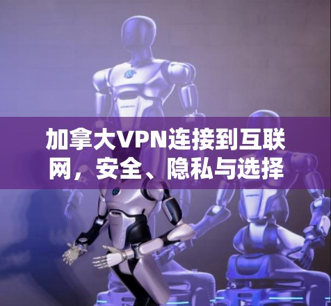 加拿大VPN连接到互联网，安全、隐私与选择