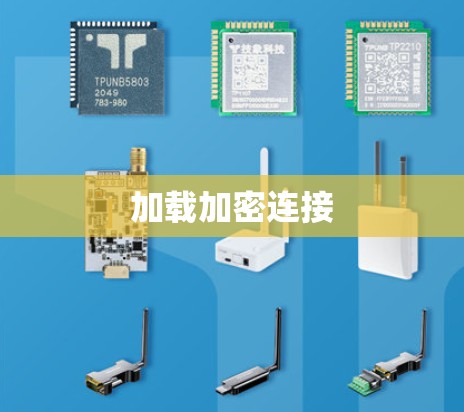 加载加密连接