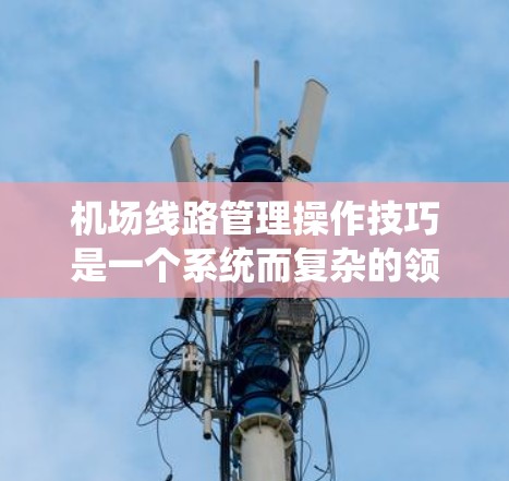 机场线路管理操作技巧是一个系统而复杂的领域，涉及多个方面，从日常的日常操作到高级的自动化管理，都要求 meticulous的规划和执行。以下是对该领域的详细分析和操作技巧总结