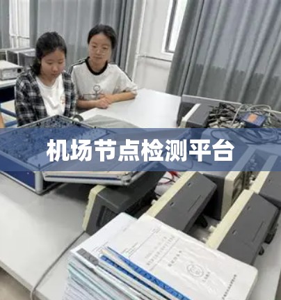 机场节点检测平台