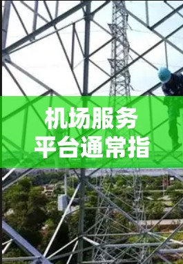 机场服务平台通常指的是为机场运营和旅客服务而设计的综合平台，旨在提供旅客在机场的便利服务和信息查询。这类平台可能会包括以下功能和内容