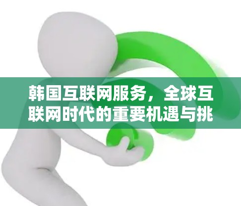 韩国互联网服务，全球互联网时代的重要机遇与挑战
